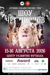 В Воронеже впервые соберутся чемпионы и редкие породы собак со всей России В Воронеже впервые соберутся чемпионы и редкие породы собак со всей России